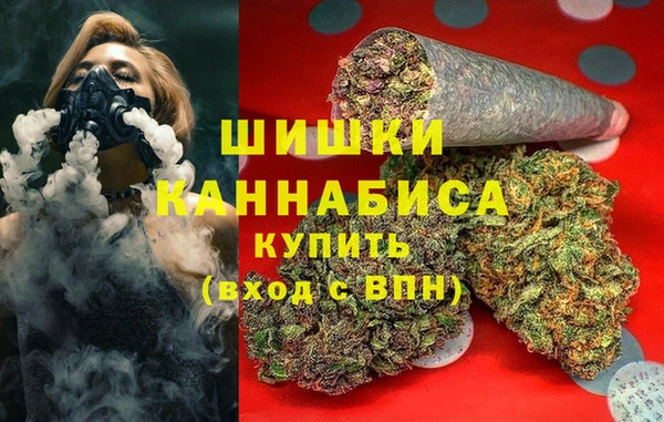 дживик Арсеньев