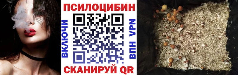 где купить наркоту  Сычёвка  Псилоцибиновые грибы прущие грибы 