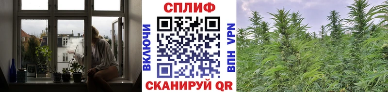 Шишки марихуана THC 21% что такое MEGA сайт Сычёвка